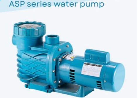 ASP100 پمپ آب استخر شنا برای استفاده از استخر شنا
