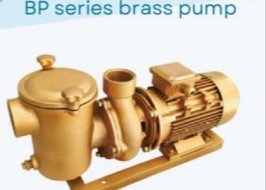 BP30 پمپ آب استخر برای استخر