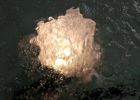 SS 80 L/M 1 Inch Dancing Fountain Fet Jet With Lamp