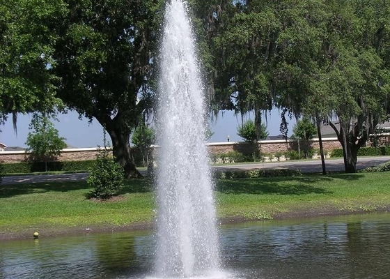 جت آب فواره آب برج فولادی ضد زنگ DN80 برای استخر شنا